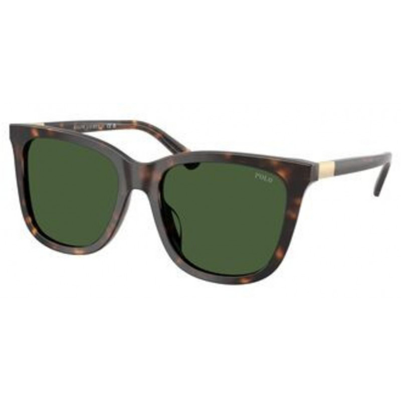 Sunglasses Polo PH 4201 U 500371 Shiny Dark Havana / Bottle Green Polyamide Standard 55mm
