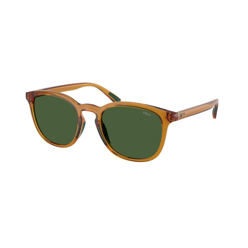 Sunglasses Polo PH 4222 U 620971 Shiny Transparent Honey Brown / Bottle Green Polyamide Standard 52mm