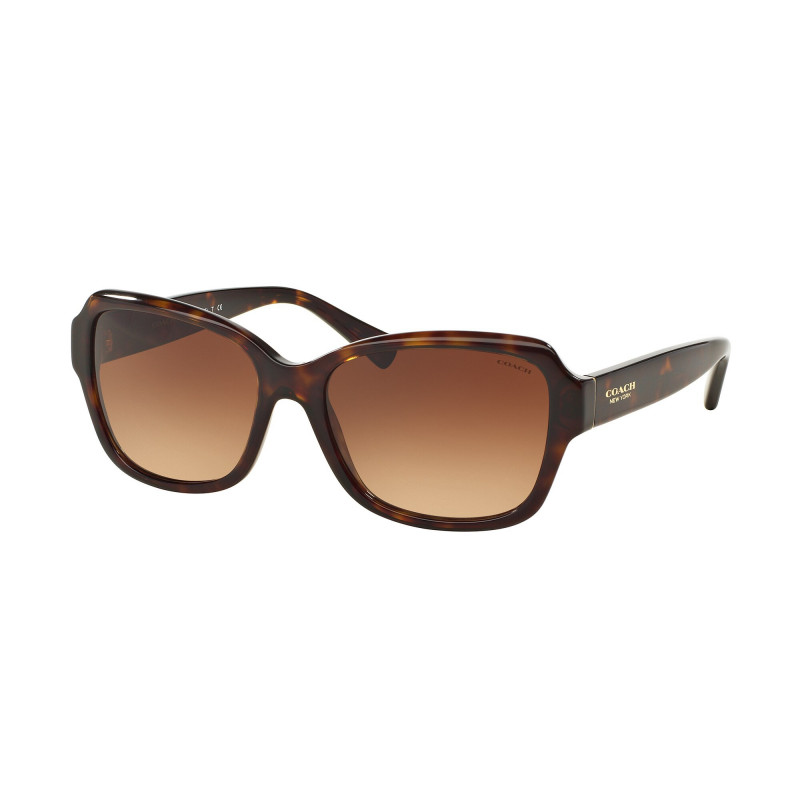 Coach sunglasses clearance hc8160