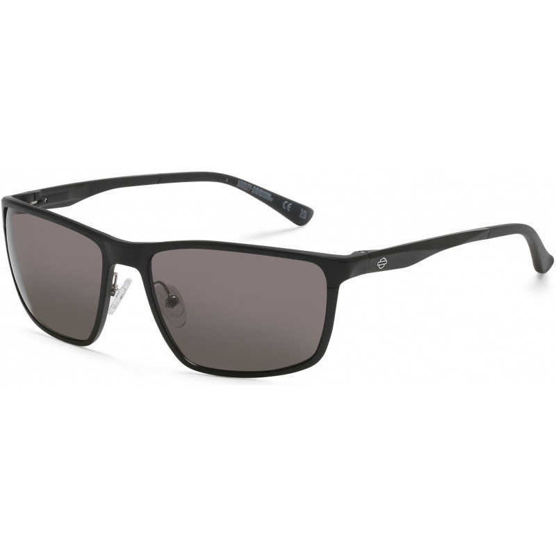 Sunglasses Harley-Davidson HD 1015 X 02D Matte Black / 60mm