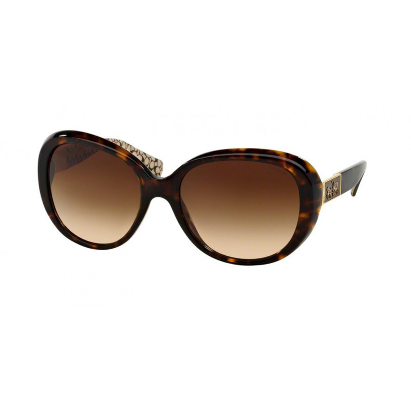 coach sunglasses hc8120