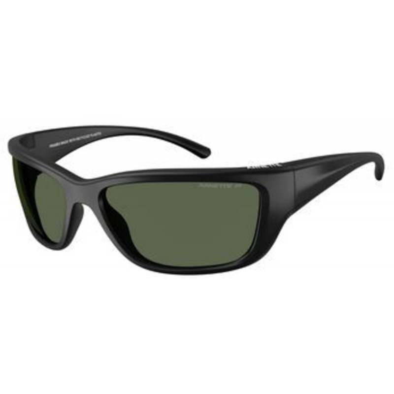 Sunglasses Arnette AN 4353 29009A Matte Black / Polar Dark Green Policarbonate Polarized 63mm
