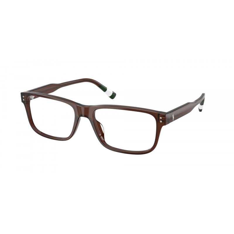 Eyeglasses Polo PH 2302 U 6315 Shiny Transparent Brown / Demo 55mm