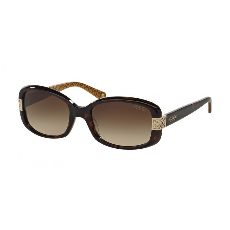 coach sunglasses hc8003