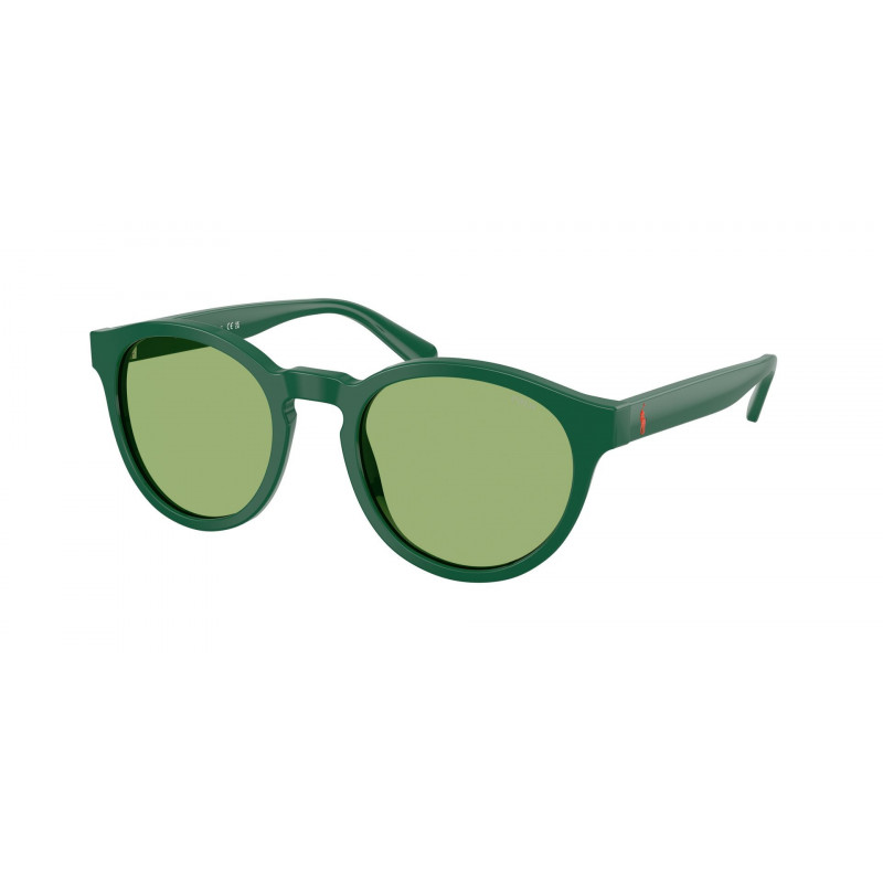 Sunglasses Polo PH 4192 6141/2 Shiny Dark Green / Light Polyamide Standard 51mm