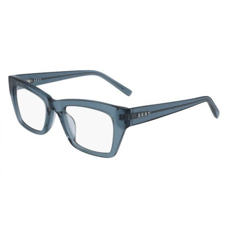 Eyeglasses DKNY DK 5021 405 Crystal Cadet Blue 51mm