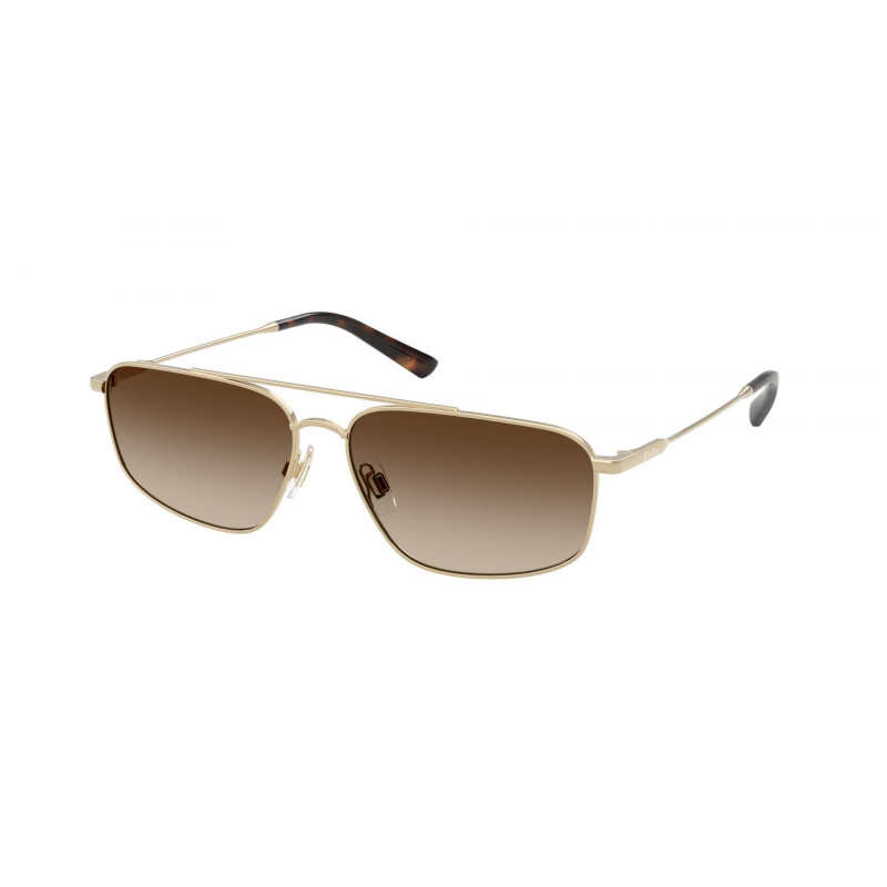 Sunglasses Polo PH 3164 939313 Shiny Pale Gold / Brown Gradient Dark Policarbonate Standard 58mm