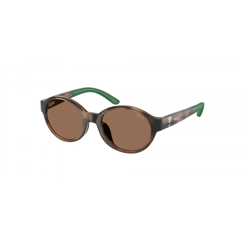 Sunglasses Polo Prep PP 9510 U 500373 Shiny Dark Havana / Brown Polyamide Standard Sunglasses Polo Prep PP 9510 U 500373 Shiny Dark Havana / Brown Polyamide Standard