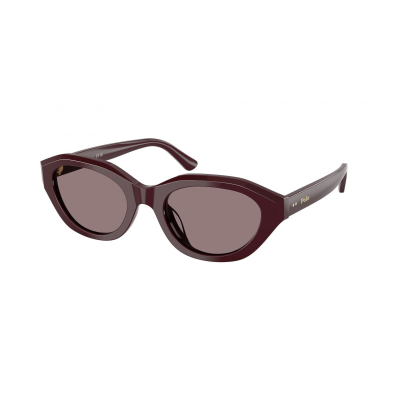 Sunglasses Polo PH 4237 U 63547N Shiny Dark Violet / Purple Polyamide Standard 52mm