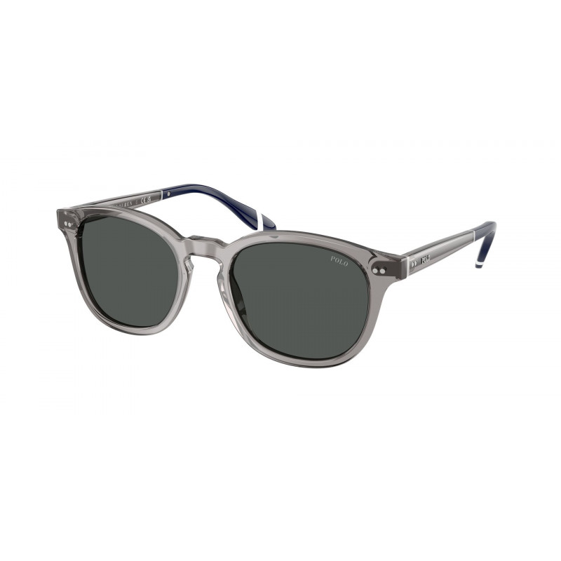 Sunglasses Polo PH 4206 570487 Shiny Transparent Grey / Dark Polyamide Standard 52mm