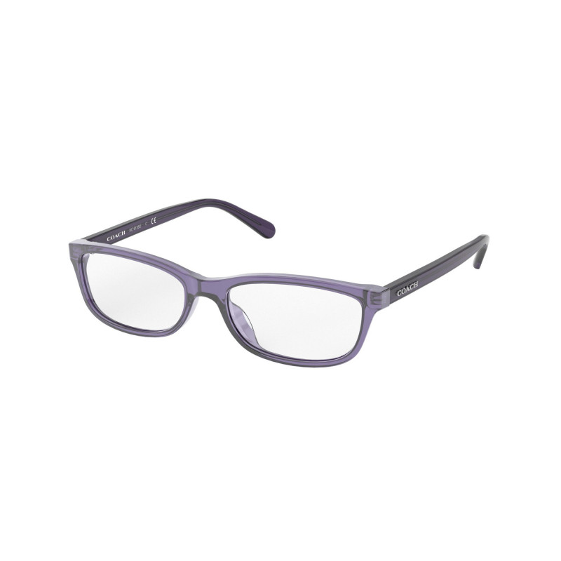 Eyeglasses Coach HC 6158 U 5616 Transparent Purple display picture 1
