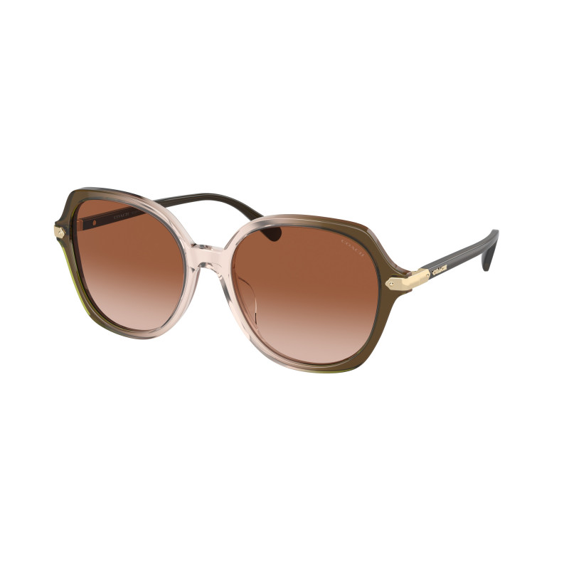 Coach HC 8377U 540013 Sunglasses Amazon.com: COACH Sunglasses HC 8377 U 540013 Cl925 Olive  main image 4