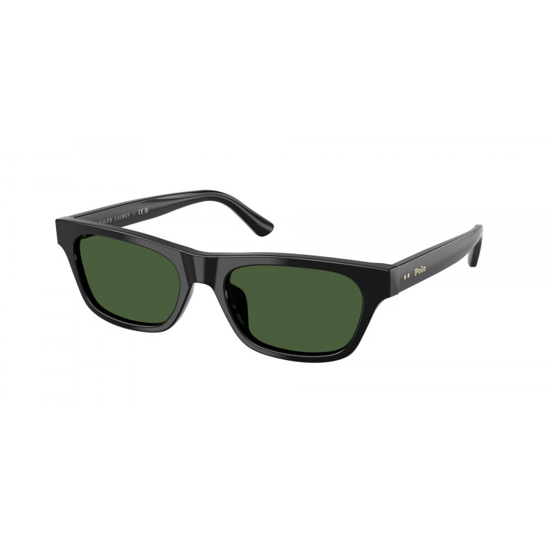 Sunglasses Polo PH 4238 U 500171 Shiny Black / Dark Green Polyamide Standard 53mm