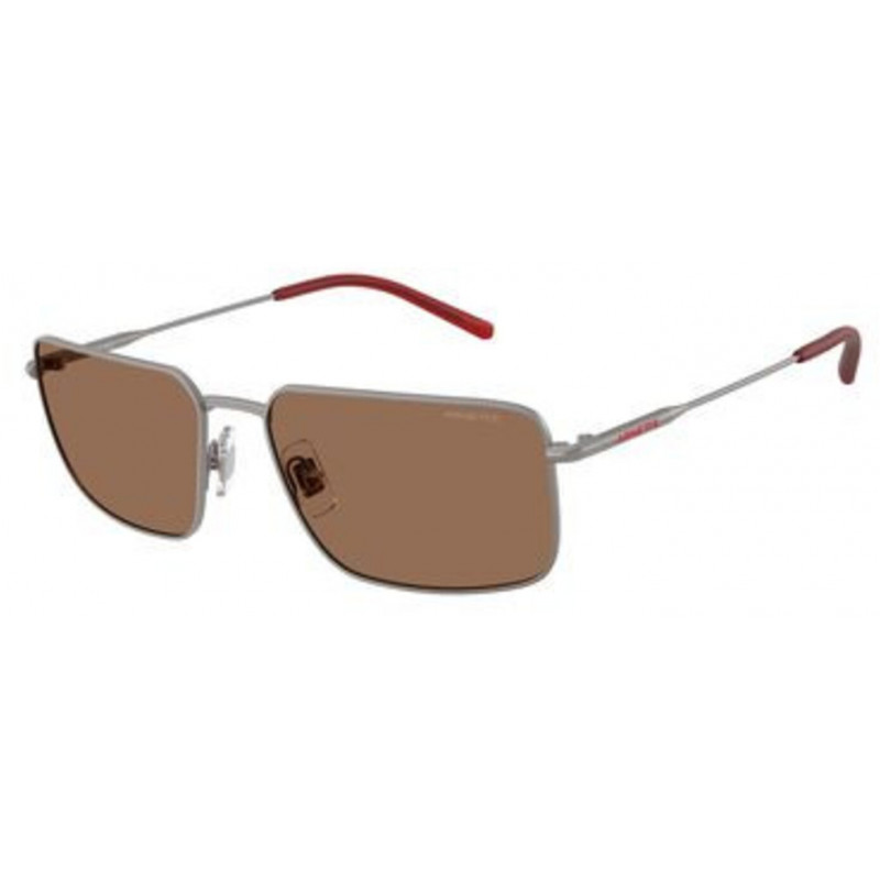 Sunglasses Arnette AN 3095 745/73 Matte Gunmetal / Dark Brown Policarbonate Standard 58mm