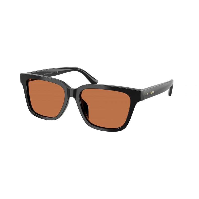 Sunglasses Polo PH 4247 U 500173 Shiny Black / Brown Polyamide Standard 54mm