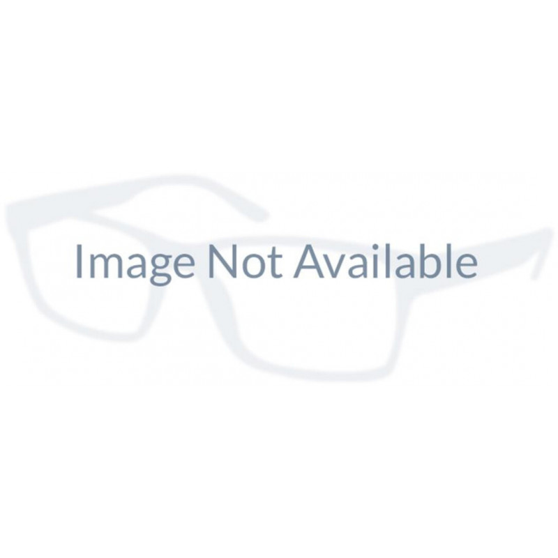 Eyeglasses Champion LIT 300 C04 Translucent Slate 53mm