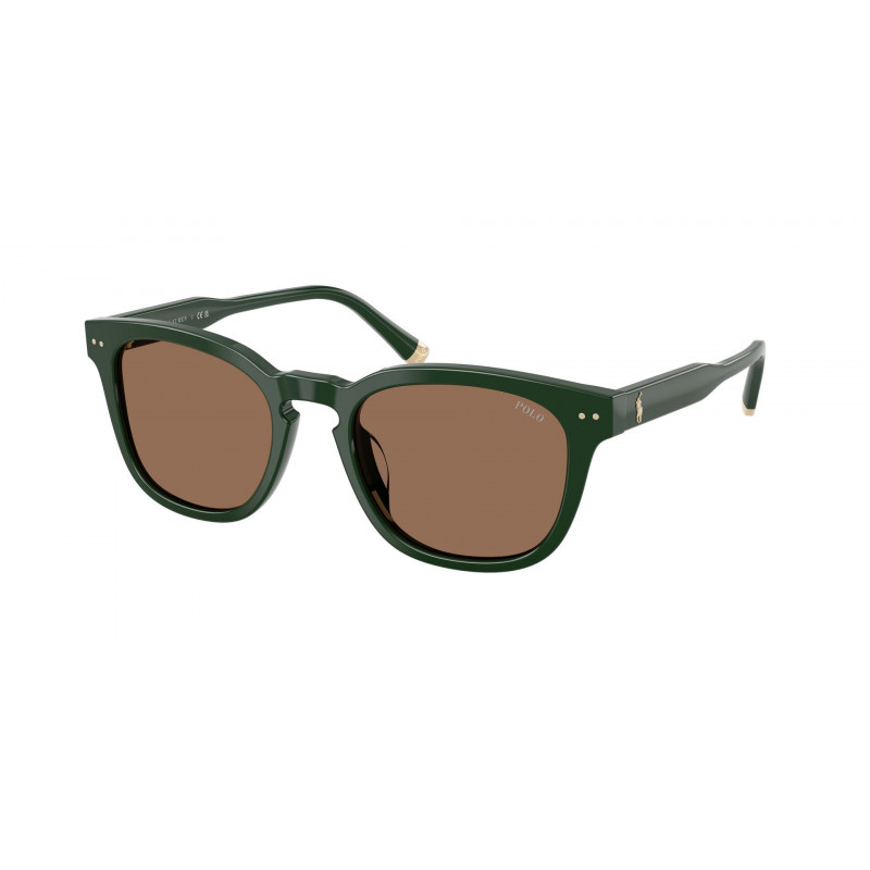 Sunglasses Polo PH 4242 F 614073 Shiny Dark Green / Brown Polyamide Standard 52mm