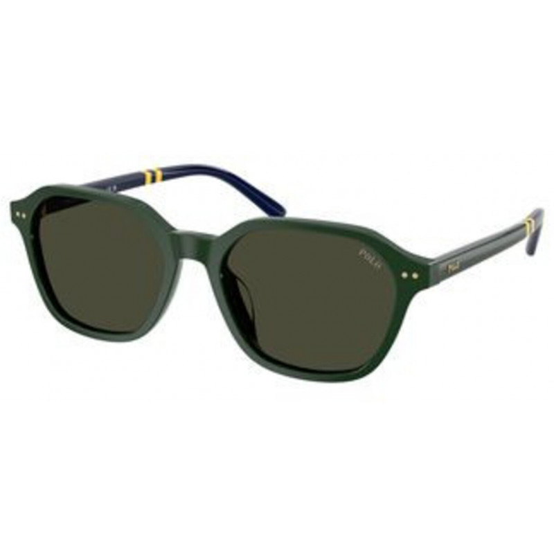 Sunglasses Polo PH 4234 U 614082 Shiny Green / Brown Polyamide Standard 54mm