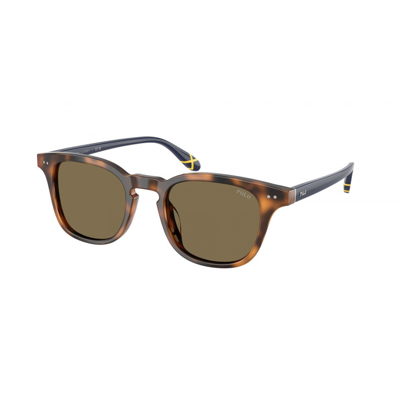 Sunglasses Polo PH 4251 U 608973 Shiny Tortoise / Brown Polyamide Standard 50mm