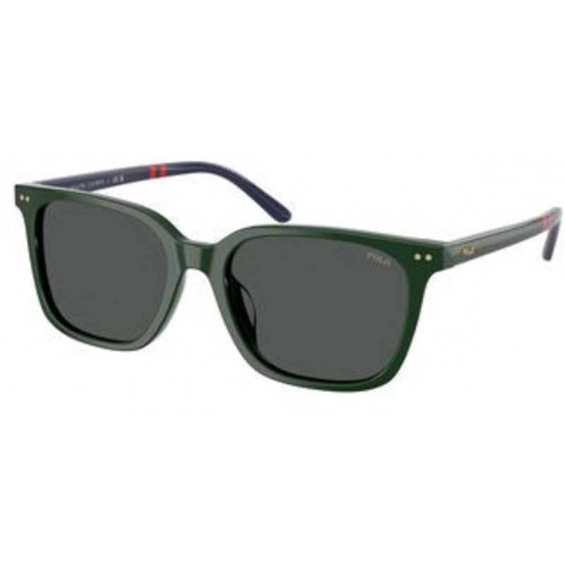 Sunglasses Polo PH 4235 U 614087 Shiny Green / Dark Grey Polyamide Standard 54mm