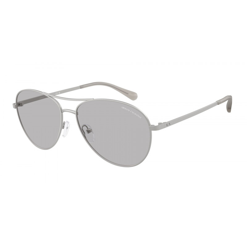 Sunglasses Armani Exchange AX 2061 S 602087 Matte Silver / Light Grey Policarbonate Standard 59mm