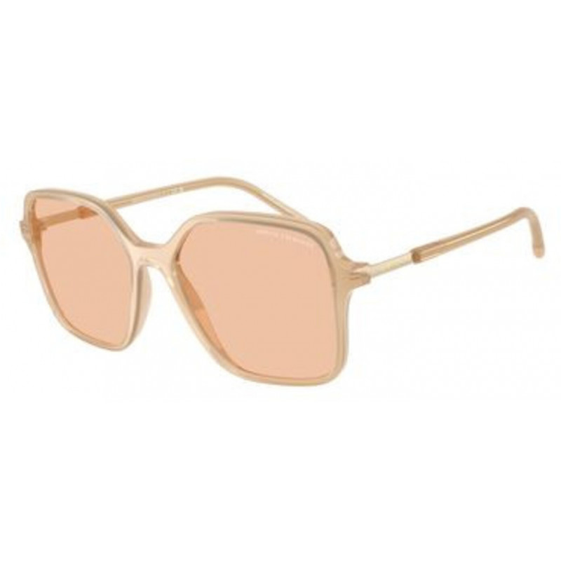 Sunglasses Armani Exchange AX 4163 S 836673 Shiny Opal Tundra / Light Brown Polyamide Standard 53mm