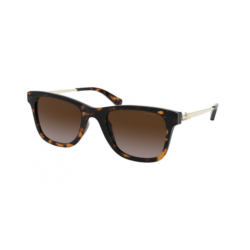 Sunglasses Coach HC 8279 U 512013 Dark Tortoise