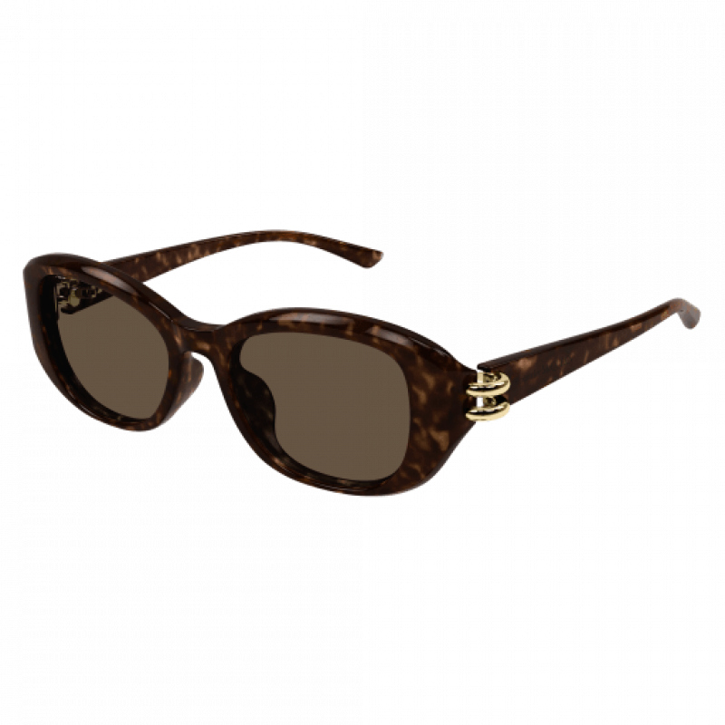 Sunglasses Alexander McQueen AM 0470 SA- 002 Havana / Brown 54mm