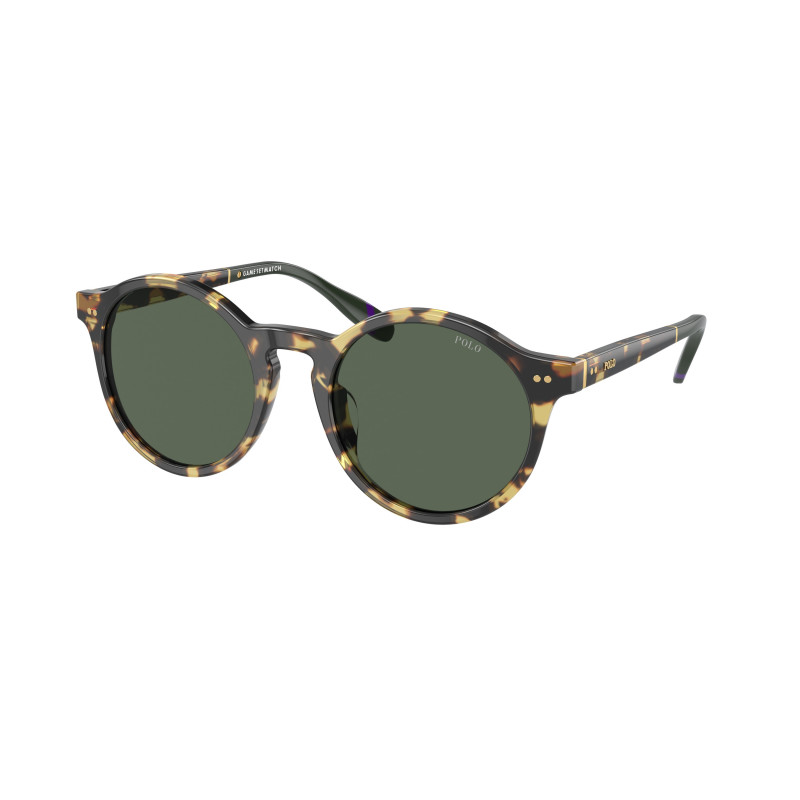 Sunglasses Polo PH 4204 U 500471 Shiny Tortoise Brown Dark Gree 53mm