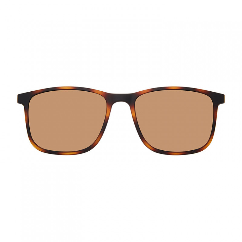 Eyeglasses Eddie Bauer 32078 C Tortoise TT Eyeglasses Eddie Bauer 32078 C Tortoise TT