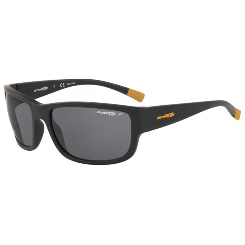 Sunglasses Arnette AN 4256 01/81 Matte Black 62mm