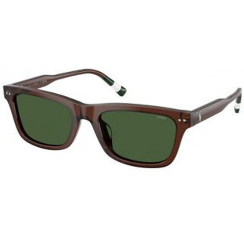 Sunglasses Polo PH 4240 U 631571 Shiny Transparent Brown / Dark Green Polyamide Standard 54mm