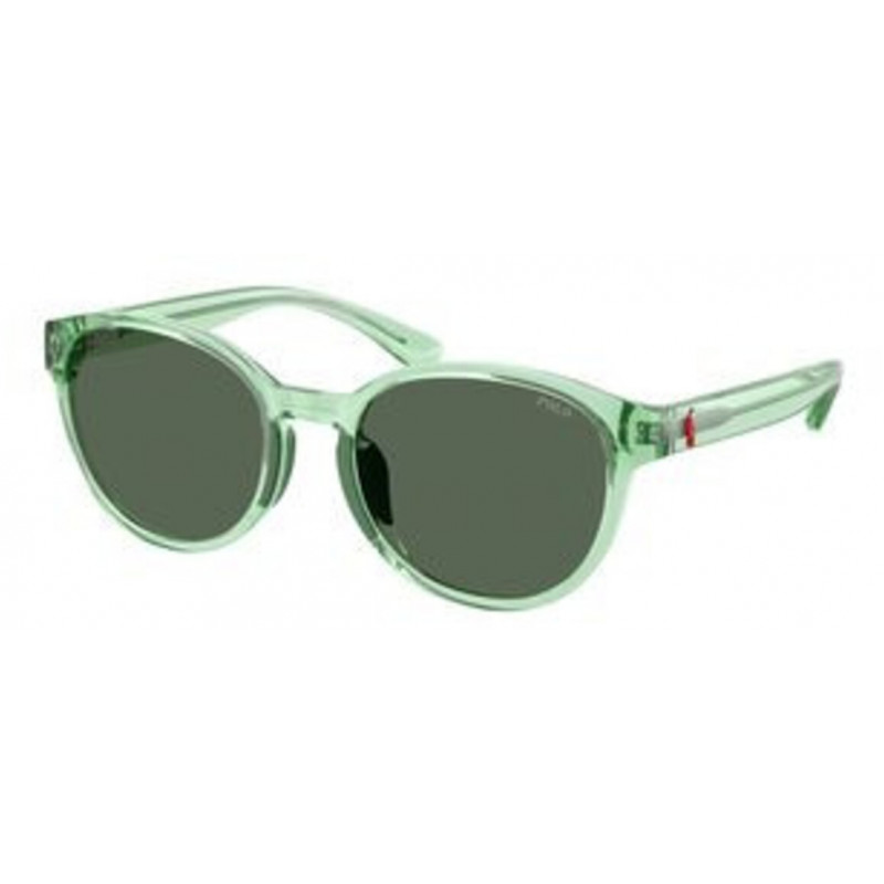 Sunglasses Polo Prep PP 9509 U 625071 Shiny Transparent Light Green / Dark Polyamide Standard 48mm
