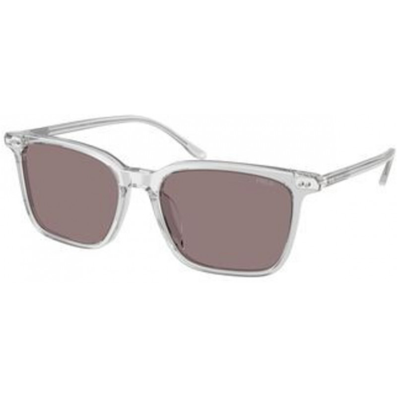 Sunglasses Polo PH 4194 U 59587N Shiny Transparent Grey / Dark Purple Polyamide Standard 56mm