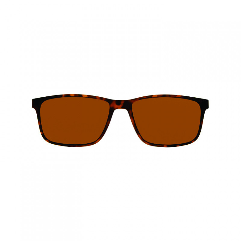 Eyeglasses Eddie Bauer 32037 C Tortoise TT Eyeglasses Eddie Bauer 32037 C Tortoise TT