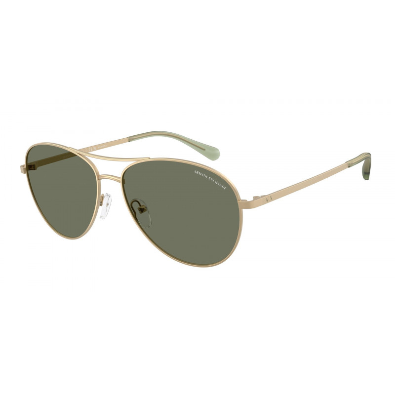 Sunglasses Armani Exchange AX 2061 S 61219A Matte Pale Gold / Dark Green Polar Policarbonate Polarized 59mm