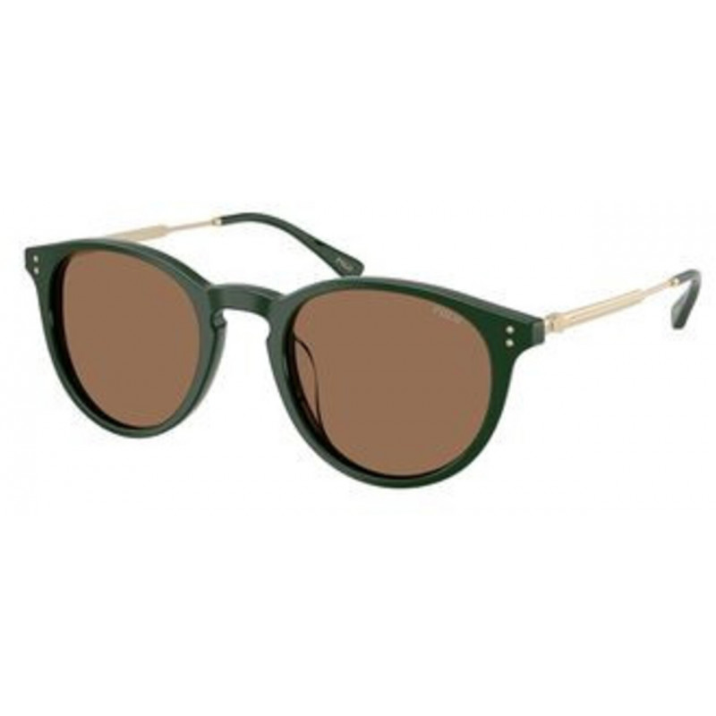 Sunglasses Polo PH 4239 U 614073 Solid Green / Dark Brown Polyamide Standard 50mm