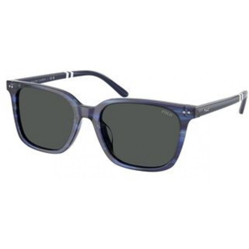 Sunglasses Polo PH 4235 U 631487 Shiny Striped Blue / Dark Grey Polyamide Standard 54mm
