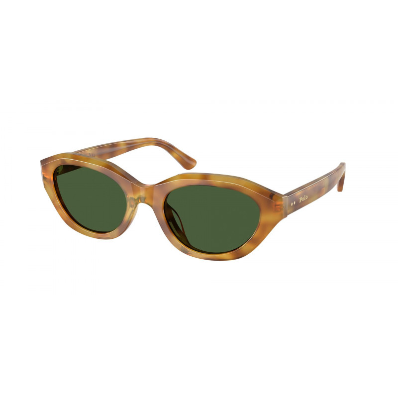 Sunglasses Polo PH 4237 U 618571 Shiny Tortoise Light Brown / Dark Green Polyamide Standard 52mm