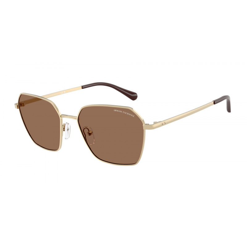 Sunglasses Armani Exchange AX 2062 S 611013 Shiny Pale Gold / Dark Brown Policarbonate Standard 54mm