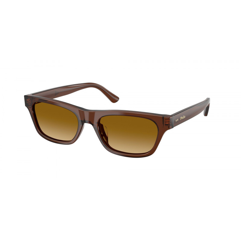 Sunglasses Polo PH 4238 U 63532L Shiny Transparent Brown / Light Yellow Gradient Polyamide Standard 53mm