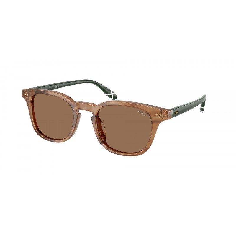 Sunglasses Polo PH 4251 U 613873 Shiny Striped Havana / Dark Brown Polyamide Standard 50mm