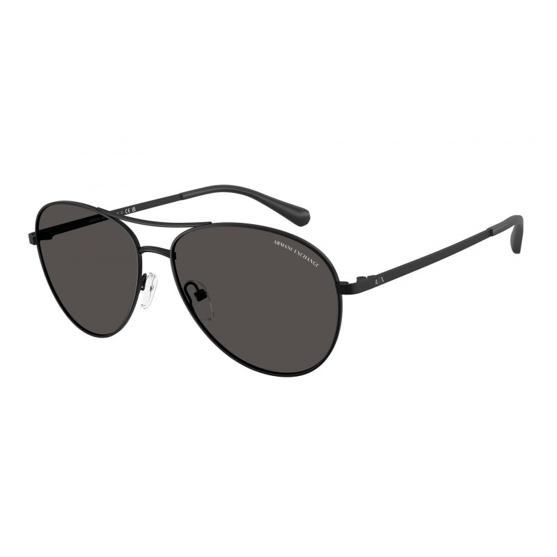 Sunglasses Armani Exchange AX 2061 S 600087 Matte Black / Dark Grey Policarbonate Standard 59mm