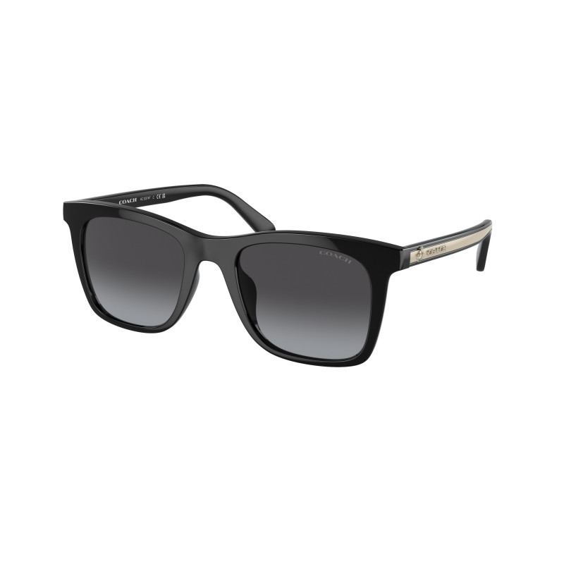 Coach sunglasses HC 8374F Sunglasses Coach HC 8374 F 5120T5 Ck463 Dark Tortoise Brown  main image 4