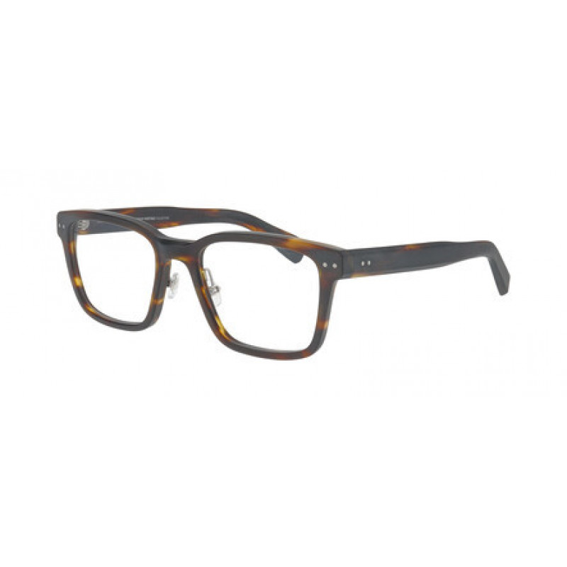 Eyeglasses Pro-design Denmark HERITAGE 2 5531 Havana / Brown Eyeglasses Pro-design Denmark HERITAGE 2 5531 Havana / Brown