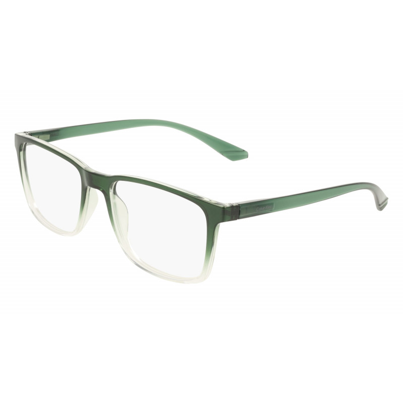 Eyeglasses CK 19573 N 300 Transparent Gradient Green Eyeglasses CK 19573 N 300 Transparent Gradient Green