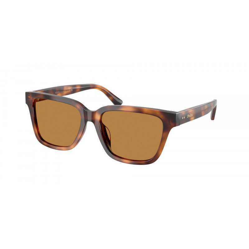 Sunglasses Polo PH 4247 U 635593 Shiny Tortoise / Light Brown Polyamide Standard 54mm
