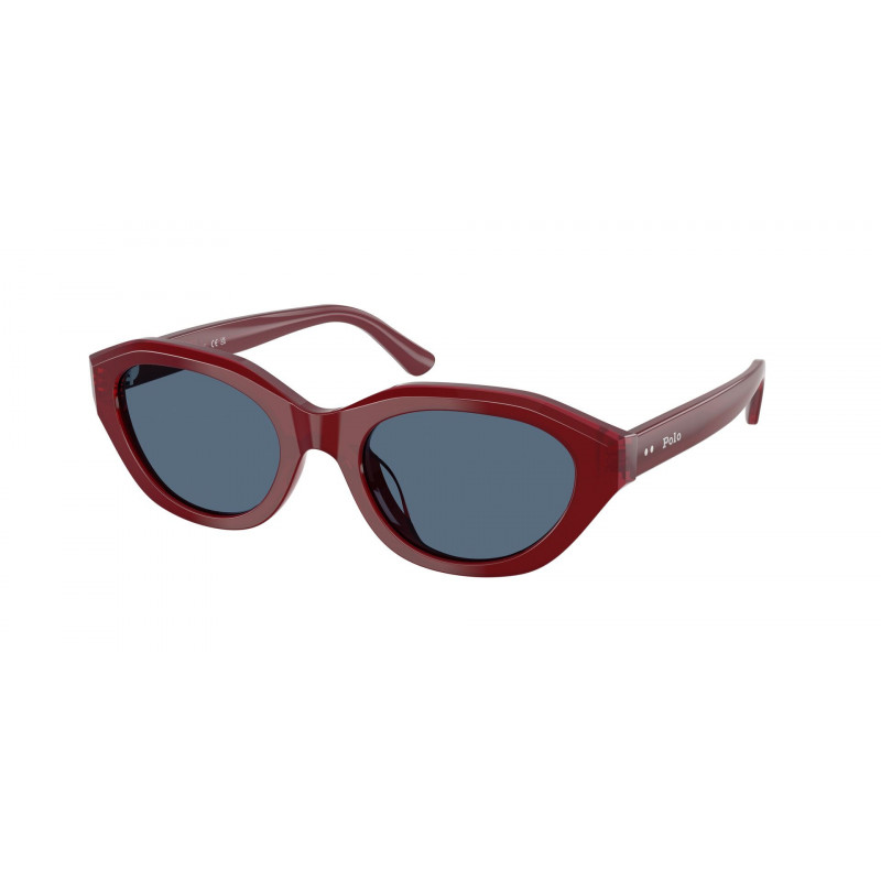 Sunglasses Polo PH 4237 U 639280 Shiny Burgundy / Dark Blue Polyamide Standard 52mm