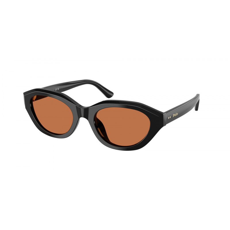 Sunglasses Polo PH 4237 U 500173 Shiny Black / Brown Polyamide Standard 52mm