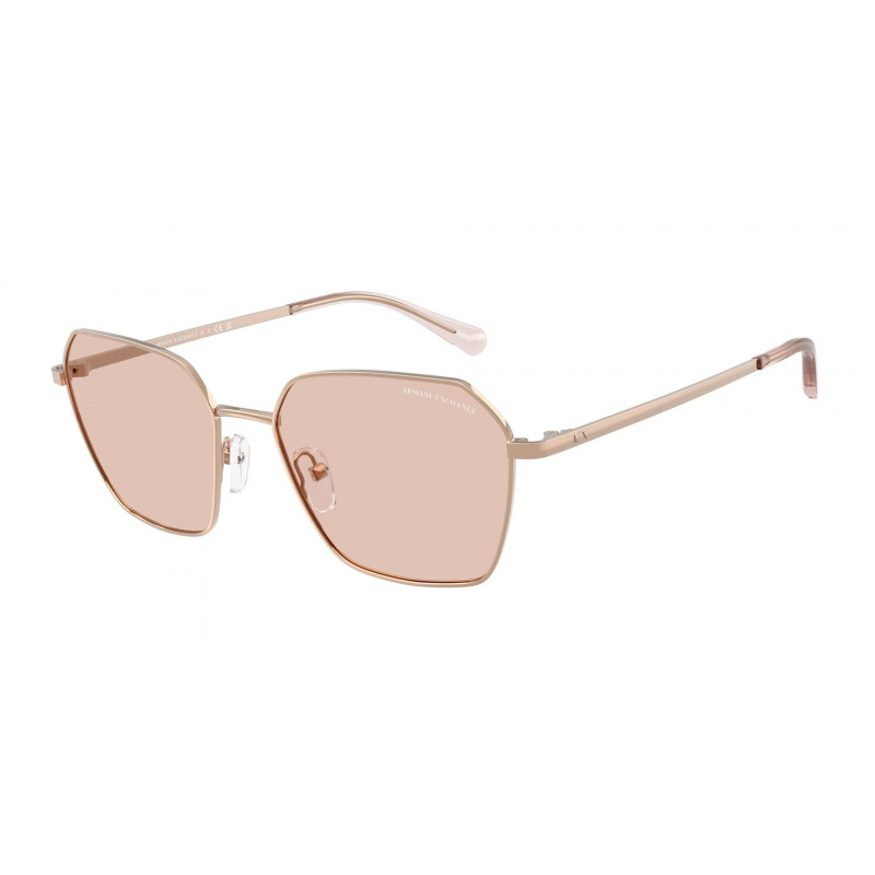 Sunglasses Armani Exchange AX 2062 S 610373 Shiny Rose Gold / Light Brown Policarbonate Standard 54mm